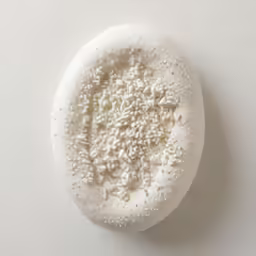 a white soap dish topped with lots of bath bubbles