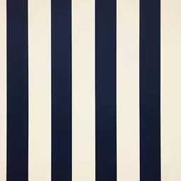 white and black stripes are arranged on a sheet