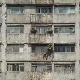 the windows of an old, run down apartment building