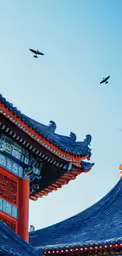 a building with birds flying above it and another bird in the air