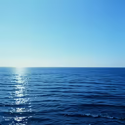 a long line of small boats in the ocean