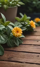 many potted flowers with leaves on a table