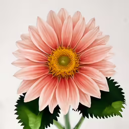 a pink flower with green leaves in it