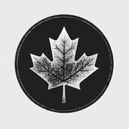 an image of a black and white maple leaf