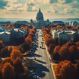 the capital building sits in the background of the surrounding trees