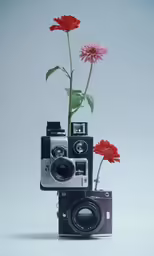 an old camera, flower and other items are sitting in a photograph