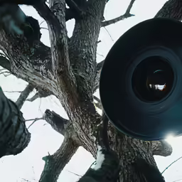 a lens with no lens cap sitting in the shade of a tree