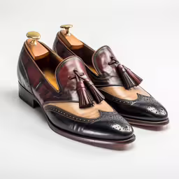 an image of a pair of shoes on a white surface,a pair of tasselled leather shoes on white background