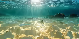 an underwater scene of a person swimming in a lake