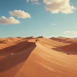 a person hiking across the sand dunes in the desert