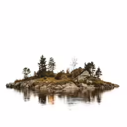 an island has many small trees and a house