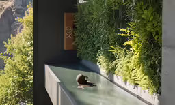 there is a wall that has trees on it and people in the reflection