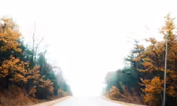 an open road with fall colored trees and one person standing on the side