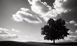 black and white photograph of a tree, clouds and grass