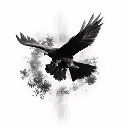 a black and white photo of an eagle flying