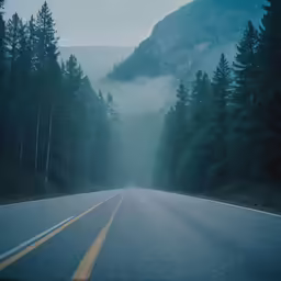 an empty road in the middle of a foggy mountain forest