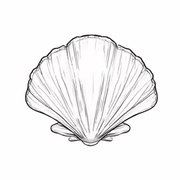 the shell is drawing with pencils and ink