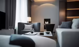 modern living room with grey furniture and two gray couches
