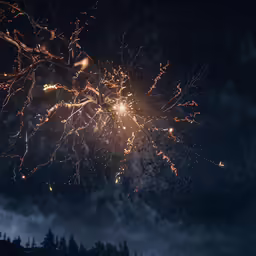fireworks exploding in the night sky and over trees