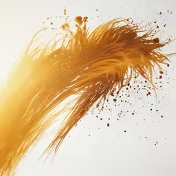 there are a lot of flying bird seeds all over