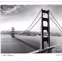 a photo of a bridge spanning the width of a body of water