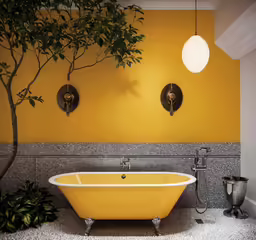 there is a small potted tree and yellow bathtub