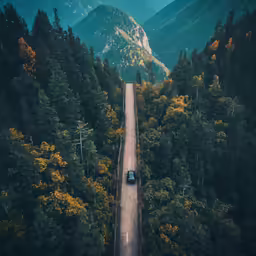 a truck traveling down a road in the middle of some trees
