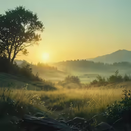 a sun setting behind a lush green field