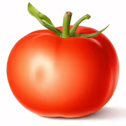a large tomato with green leaves on the top