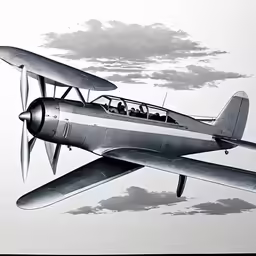 the drawing of the plane is black and white