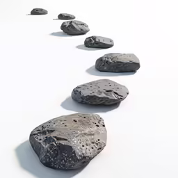 a long line of rocks with some leaves on the ground