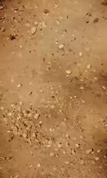 a dirt field with pebbles and grass around it
