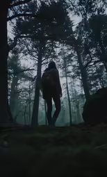 a person with a back pack walking on a path in the forest