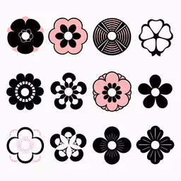 several different flowers and petals arranged on white background,many different types of flowers, such as white and black