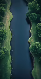a body of water surrounded by trees