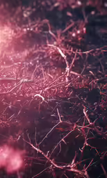 the sunlight shining down on some grass