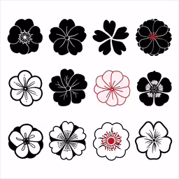 four dimensional flowers on white paper,six flower designs drawn in black, white and red