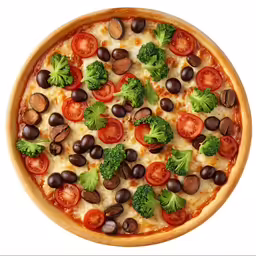pizza with mushrooms, tomatoes, broccoli and olives