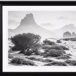 a mountain scene in a black and white frame