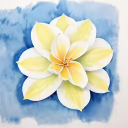 a white and yellow flower with water colors