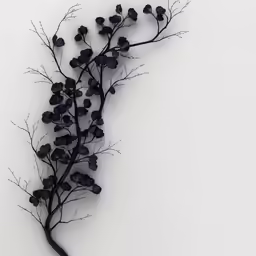 purple and white photograph of small purple flowers on stem