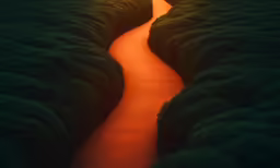 the orange glow of an overhead photograph of trees