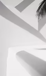 the shadow of a palm tree on a concrete surface