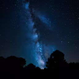 the night sky with stars and trees under it