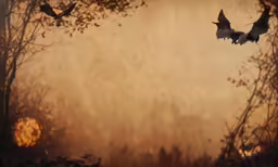three birds flying through the air, with some trees in the background