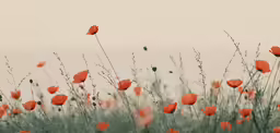 a field full of bright orange flowers