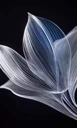 the underside of a white leaf against a dark background