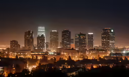 a city filled with lots of tall buildings at night
