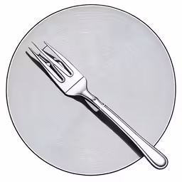there is a silver plate with a fork on it