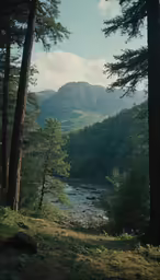 a creek and trees near a mountain range